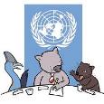Hold your own UN Meeting